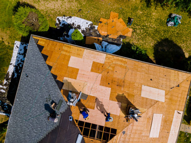 Best Roof Gutter Cleaning  in Glen Ridge, NJ
